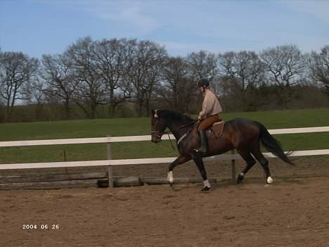 Anden særlig race farina - en lille tur på banen  billede 8
