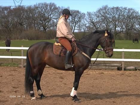 Anden særlig race farina - parade.... og må jeg så få fri nu??? billede 10