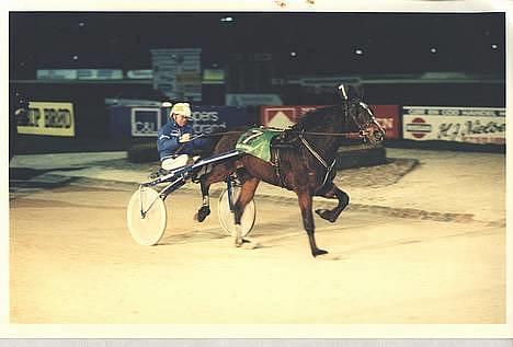 Traver Pampas Crown - Endnu en sejr er i hus! billede 8