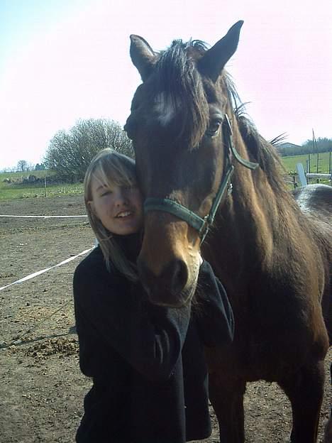 Traver Owens Rødbylund (aflivet) - Mig og Owens billede 6