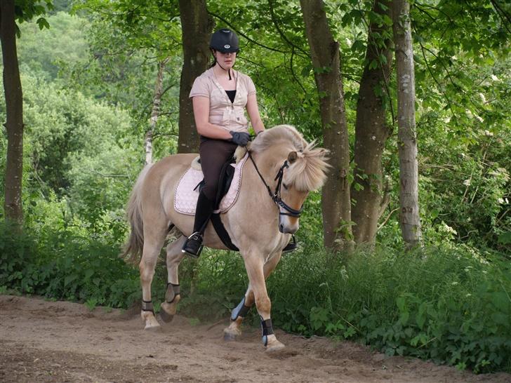 Anden særlig race Frederik - Du er så fin min . Foto: Kimie Dehn billede 10