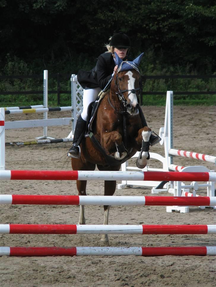 Anden særlig race Hr. Olsen - 4# Malene og Ole på NSR, i LB. Foto: Mig billede 4