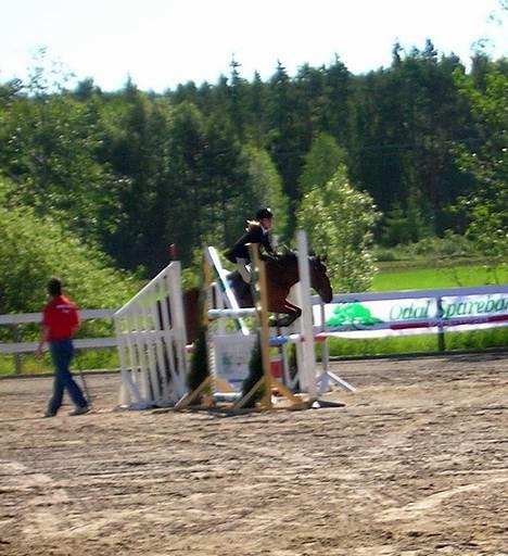 New Forest Arne - Arne og Karen på elitestevne i Kongsvinger billede 9