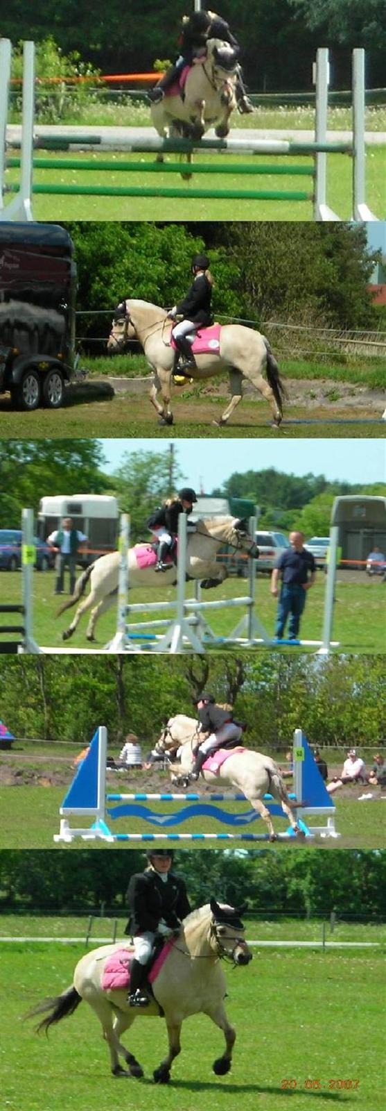 Fjordhest Perle *RIP <3* - ansager maj 07 ..  billede 6