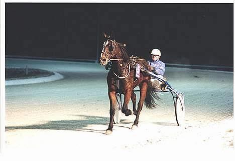 Traver Pampas Crown - Æresrunde skal der til.. billede 10