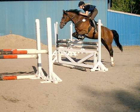 New Forest Shadow - Miin Shadow over lodret. billede 4