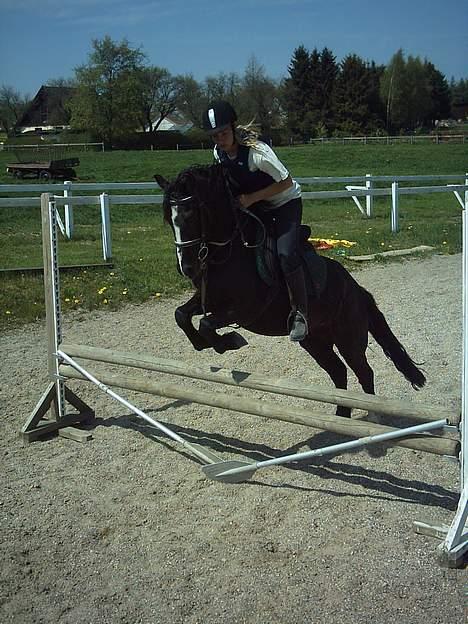 Dartmoor Akido af granlygård - Akido og jeg springer, synmes selv dette er et ret godt billede=) billede 7