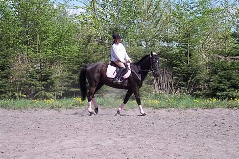 Anden særlig race  Jasmin   - her er vi så på ride banen 2006  billede 6