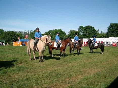 Anden særlig race Shannon (R.I.P) billede 11