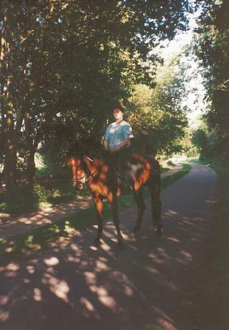 Standardbred ¨˜”°º• Ulrikka(solgt)•º°” - Ulrikka i skoven billede 5
