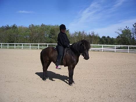 Islænder Lilja - Sådan, nu er Emma glad !!! billede 1