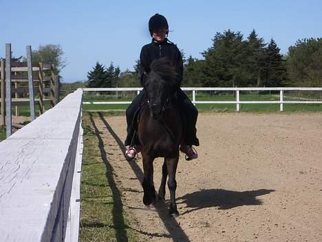 Islænder Lilja - "Så nu skal du gå pænt, trunte!<3" billede 2