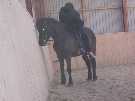 Islænder Lilja - Kan vi stoppe nu ? billede 5