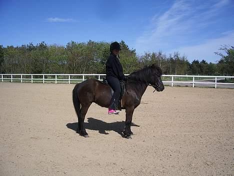 Islænder Lilja - Pause , Igen! billede 6