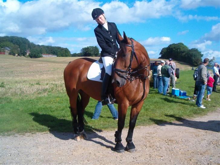 Anden særlig race Marquist  - Venter på det andet hold.. Jagten 2007,26-08 Det var en dejlig dag sammen med dig, en af dem man ikke vil glemme.. Du var så dygtig.. <333 billede 7