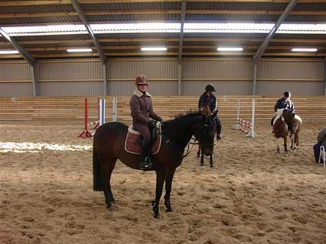 Anden særlig race Tiggi ( solgt ) - Til springtræning.  Ikke lige det bedste billede , men man kan da se det er Tiggi <3 billede 7