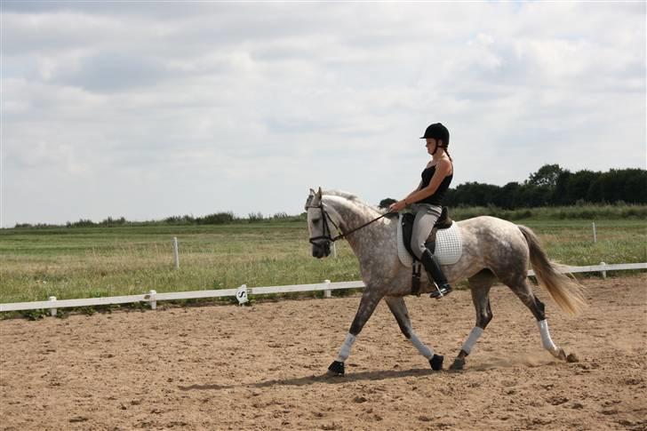 Anden særlig race Dancing Daisy ! !SOLGT! ! - Øgning.. Foto: Far billede 8