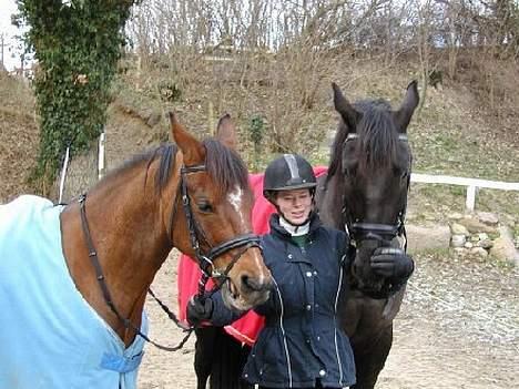 Anden særlig race Tsjerkomo - Rocky min gamle pony, Komo og mig billede 9
