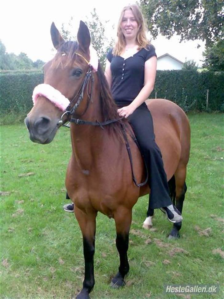 DSP <3 Freja. *I HIMLEN* - # 7. Freja og mig:) Min smukke Freja, med bøljer i mane:)  Taget d. 16/8-2007 billede 7