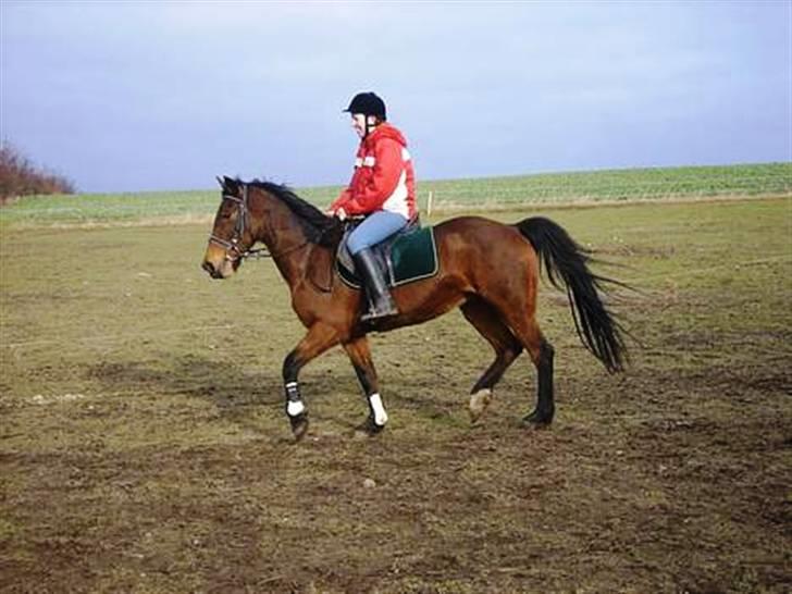 DSP <3 Freja. *I HIMLEN* - #11. Freja og mig, vi er igang med lidt spring træning:D billede 11