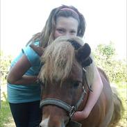 Anden særlig race Palle