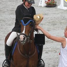 Anden særlig race Casco