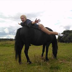 Anden særlig race Prinz