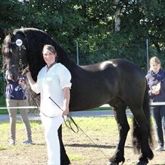 Frieser Tiemen Fan Panhuys