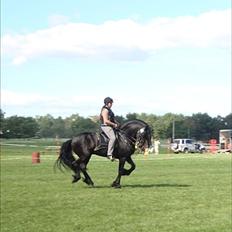 Frieser Tiemen Fan Panhuys