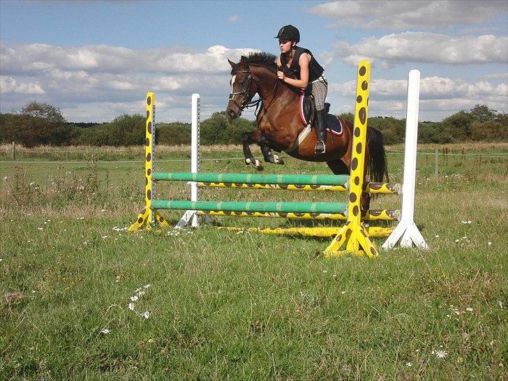 Hollandsk Sportspony Lady Prudence - første gang vi sprang udenfor, billede 10