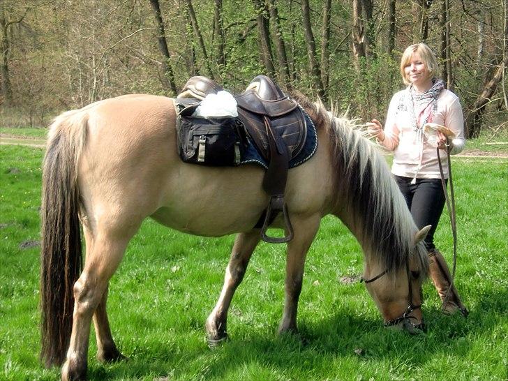 Anden særlig race Tinka - R.I.P. Himmelhest billede 13