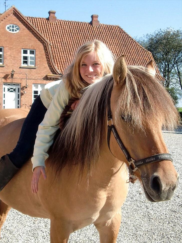 Anden særlig race Tinka - R.I.P. Himmelhest billede 16