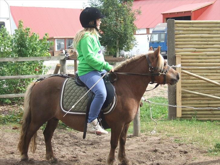 Shetlænder Turner<3skattepiie! - *Celina er ikke så lang benet så hun kan sagtens ride den søde pony<3(Foto: Mig) billede 12
