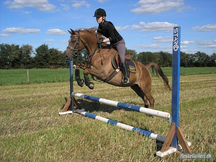 DSP Bobby Joe *solgt* billede 11