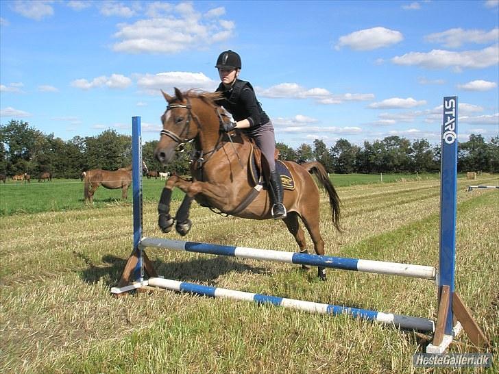 DSP Bobby Joe *solgt* billede 12