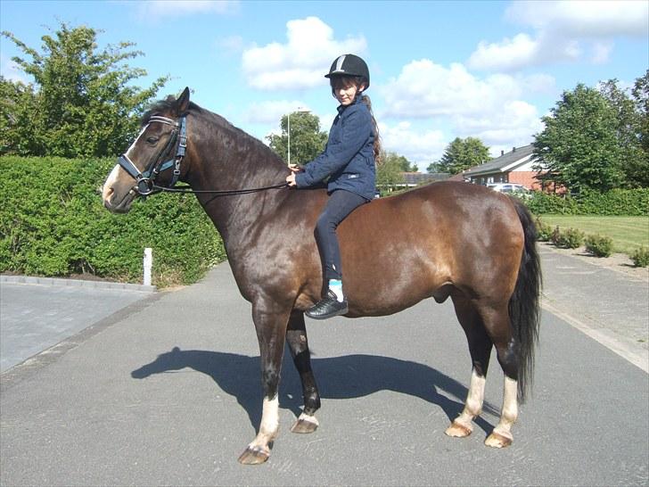 Anden særlig race Kastor<3 R.I.P † billede 19