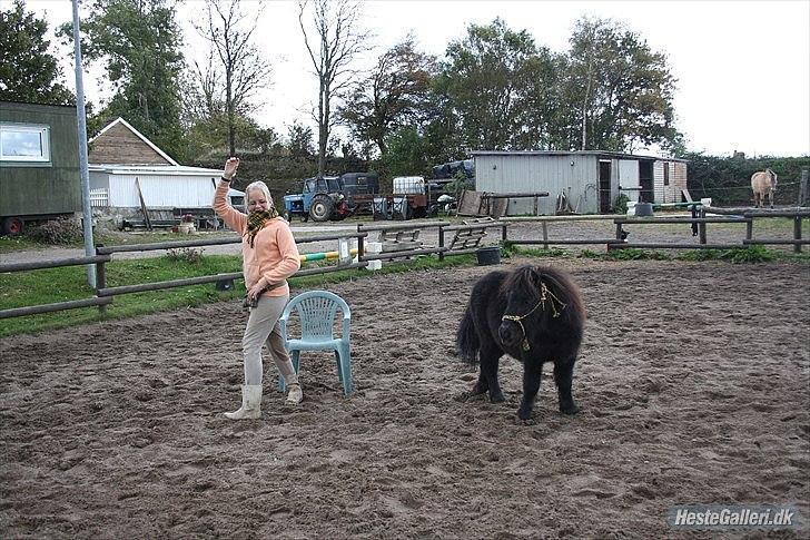 Miniature Blobber - tricks: dreje rundt :D<3my heart friend<3  Foto: mathilde Rasmussen       billede 9