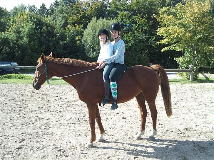 Anden særlig race Molly - Nuna og jeg rider 2 på Molly i rebgrime ;) billede 5