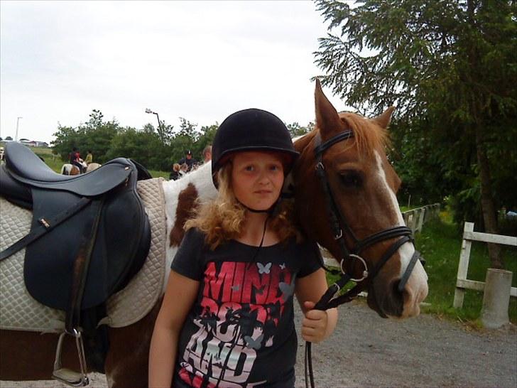 Anden særlig race Tilde - Efter ridetime.  billede 6