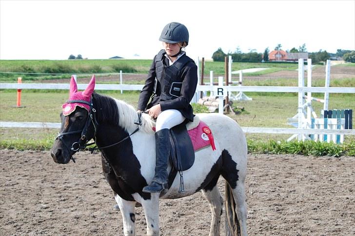 Welsh Pony (sec B) Carola *Min Bedste Ven* - smukke :* billede 15