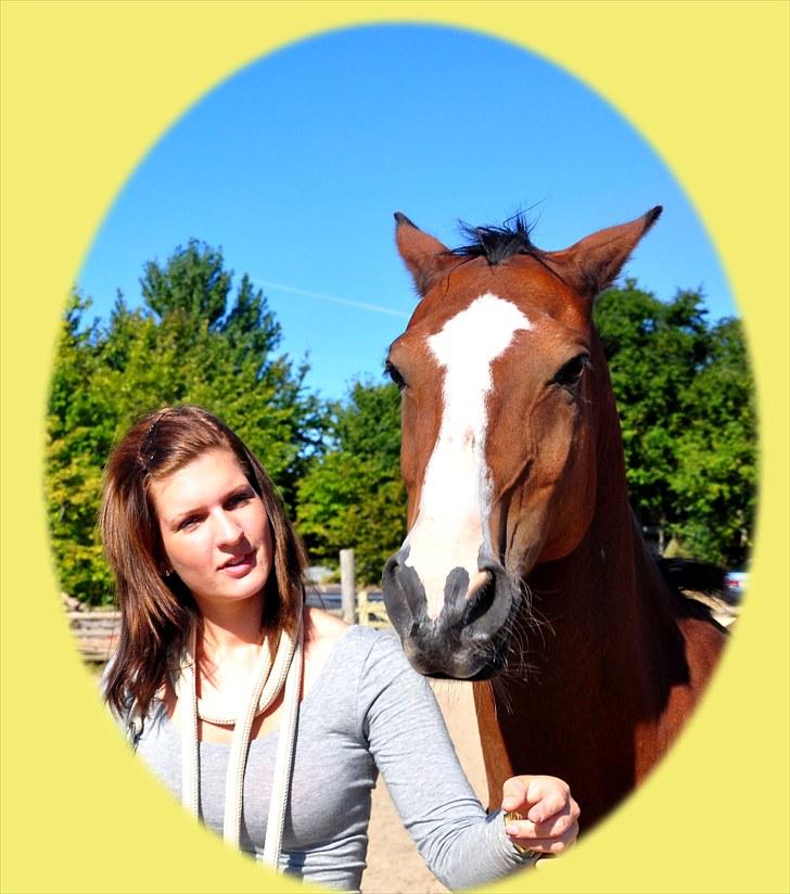 Hollandsk Sportspony Macho <3 R.I.P. baby <3 - Nyt ... Du er helt fjolle Macho <3 Foto: Søren Wolstrup billede 20