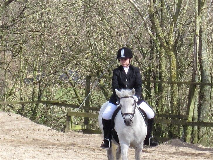 Anden særlig race Gimli - Gimse <´333 Inden jeg skal ind og ride LD2 :D  billede 17