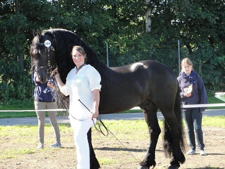 Frieser Tiemen Fan Panhuys - ST. hestedag 2010 - opnåede 10 pointe!! billede 1