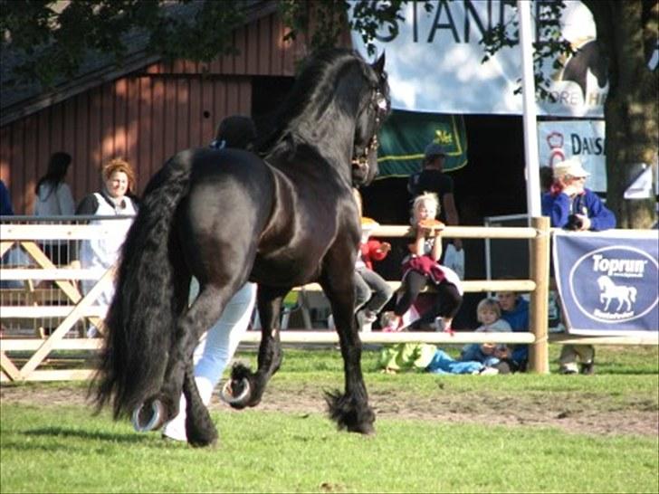 Frieser Tiemen Fan Panhuys billede 5