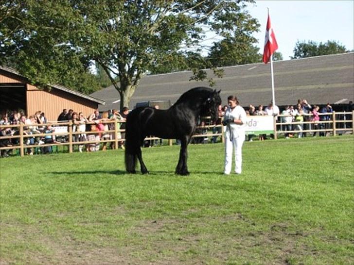 Frieser Tiemen Fan Panhuys billede 6