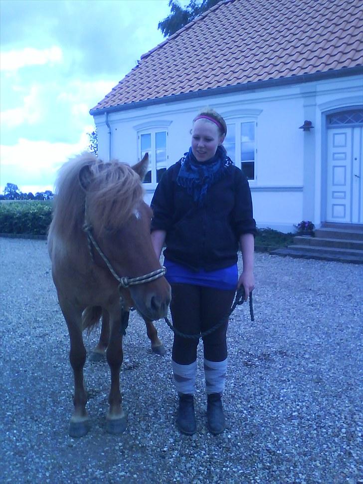 Islænder Gjöf billede 3