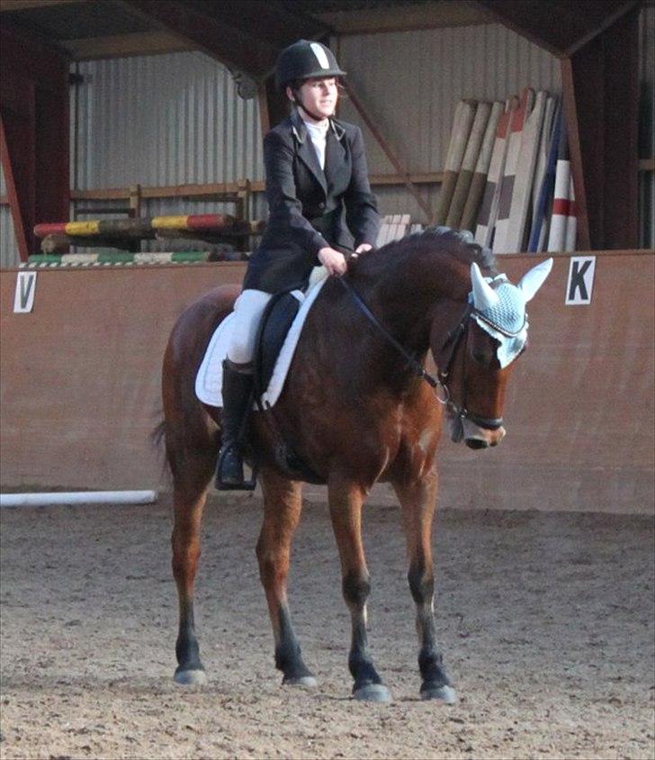 Anden særlig race Magnus [SOLGT] :'( - Øgning. billede 15