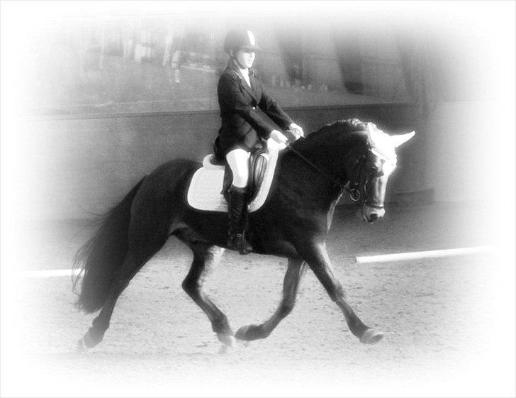 Anden særlig race Magnus [SOLGT] :'( billede 18