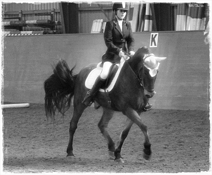 Anden særlig race Magnus [SOLGT] :'( billede 20