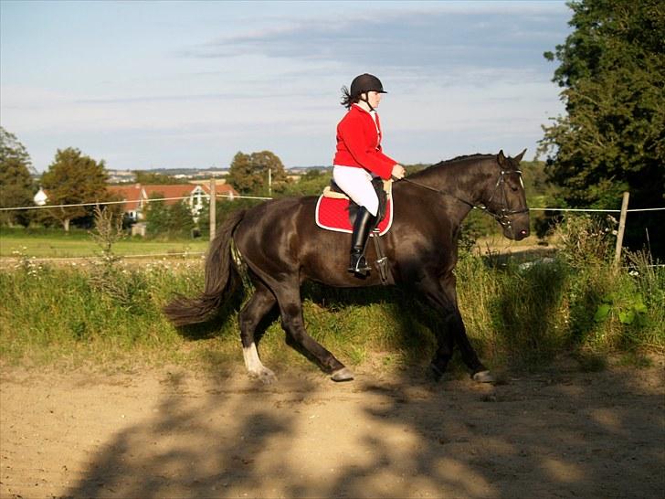 Oldenborg Thorleif Gøgholm billede 7